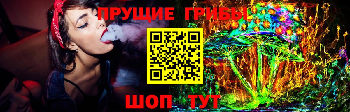 Псилоцибиновые грибы мицелий  Вход с VPN  Фролово 